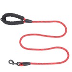 反光狗牵引绳生产商-批发升级设计