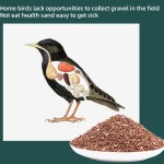 鸽矿砂供应商-批发天然红石营养