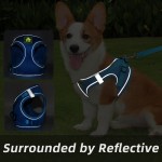 猫狗背带供应商-定制环保软垫