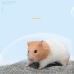 仓鼠垫料生产商-厂家批发苹果味