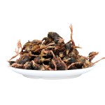 冻干宠物食品供应商-批发高营养真空