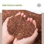 鸽矿砂供应商-批发天然红石营养