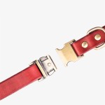 皮革狗项圈供应商-优质快释素色