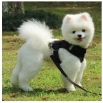 宠物背带供应商-批发反光透气小号