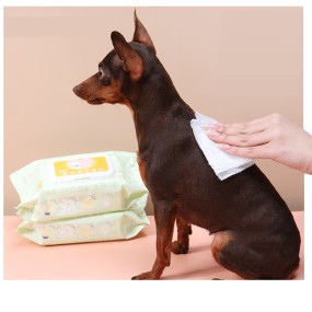 宠物湿巾供应商-定制标识80片无纺布