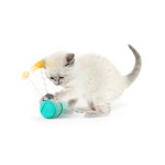 电动猫玩具厂家-厂家直销多功能