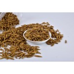 黑水虻宠物食品供应商-无杂质微波干燥