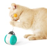 电动猫玩具厂家-厂家直销多功能
