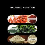 水族鱼食厂家-340g/950g/1300g高蛋白