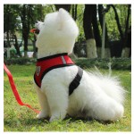 宠物背带供应商-批发反光透气小号