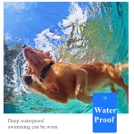 狗训练项圈厂家-热销电动遥控