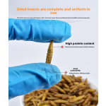 黑水虻宠物食品供应商-无杂质微波干燥