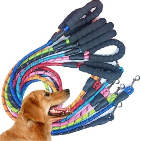 Nylon Pet Leash Supplier - Reflective Waterproof Metal Carabiner