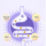 消化软嚼片生产商-宠物肠胃健康
