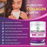 Multi Collagen Protein Powder Supplier - Own Brand Dietary Supplement Nutrient Absorption
