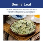 Dietary Supplement Tea Bags Supplier - OEM/ODM 100% Natural Fat Burning Metabolism