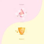Vitamin Jelly Factory - OEM Direct Selling Fruit Flavor Low Calorie Weight Control