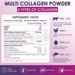 Multi Collagen Protein Powder Supplier - Own Brand Dietary Supplement Nutrient Absorption