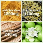 Organic Burdock Gummies Supplier - Wholesale 100% Natural Gut Health Sea Moss Complex