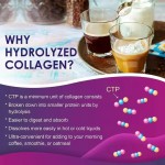 Multi Collagen Protein Powder Supplier - Own Brand Dietary Supplement Nutrient Absorption