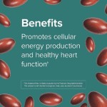 Vegan Supplement Capsules Factory - Wholesale Heart Health Antioxidant Coenzyme Q10