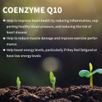 Vegan Supplement Capsules Factory - Wholesale Heart Health Antioxidant Coenzyme Q10