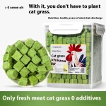 水培猫草厂家-新款懒人盆栽小麦种子育苗盘