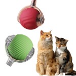 猫玩具厂家-彩色羽毛逗猫棒现代硅胶长尾爪球