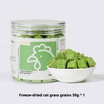 水培猫草厂家-新款懒人盆栽小麦种子育苗盘