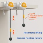 自动猫玩具厂家-一体式升降电动伸缩自升