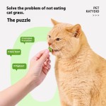 水培猫草厂家-新款懒人盆栽小麦种子育苗盘