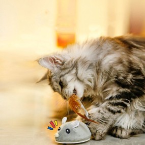 USB Cat Toy Supplier - Intelligent Charging Mouse Toy Automatic Teasing Device