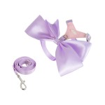 狗背包厂家-新款户外旅行发光尼龙牵引绳