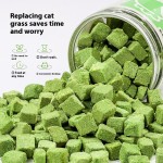 水培猫草厂家-新款懒人盆栽小麦种子育苗盘