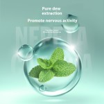 宠物干洗粉厂家-260克干洗粉除臭沐浴露