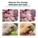 益生菌口腔护理厂家-洁牙水口腔结石除味剂