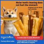 水培猫草厂家-新款懒人盆栽小麦种子育苗盘