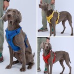 宠物背心厂家-时尚反光背胸带伸缩牵引绳