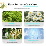 益生菌口腔护理厂家-洁牙水口腔结石除味剂