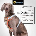 尼龙狗牵引绳厂家-轻量中小大犬用加垫胸带