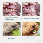 宠物眼部护理厂家-柔软指套湿巾眼耳护理除螨