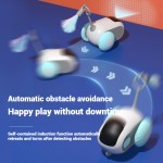 电子宠物玩具厂家-智能2.0遥控电动跑车