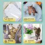 宠物干洗粉厂家-260克干洗粉除臭沐浴露