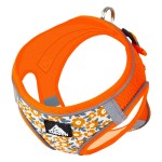 狗绳厂家-热销中大号伸缩反光纯棉加垫