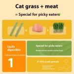 环保猫零食厂家-3包装冻干猫草颗粒薄荷