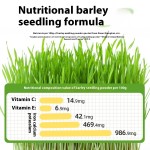 水培猫草厂家-新款懒人盆栽小麦种子育苗盘
