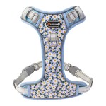 尼龙狗牵引绳厂家-轻量中小大犬用加垫胸带