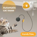 自动猫玩具厂家-一体式升降电动伸缩自升