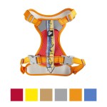 宠物背心厂家-时尚反光背胸带伸缩牵引绳