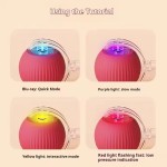 智能宠物玩具厂家-电动自滚自动跳球互动